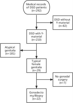 Gonadal tumor risk in pediatric and adolescent phenotypic females with disorders of sex development and Y chromosomal constitution with different genetic etiologies